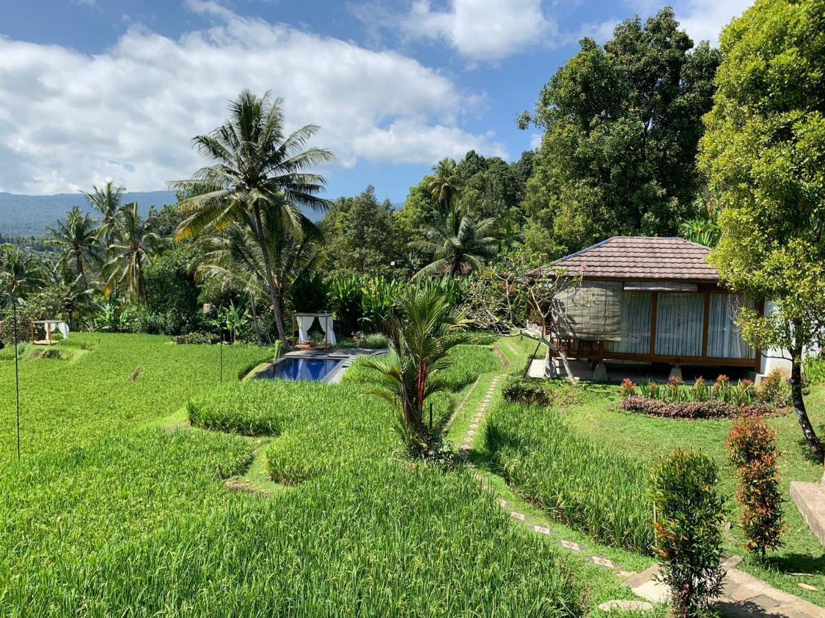 Bali De Pardis Cottage Munduk Exteriör bild