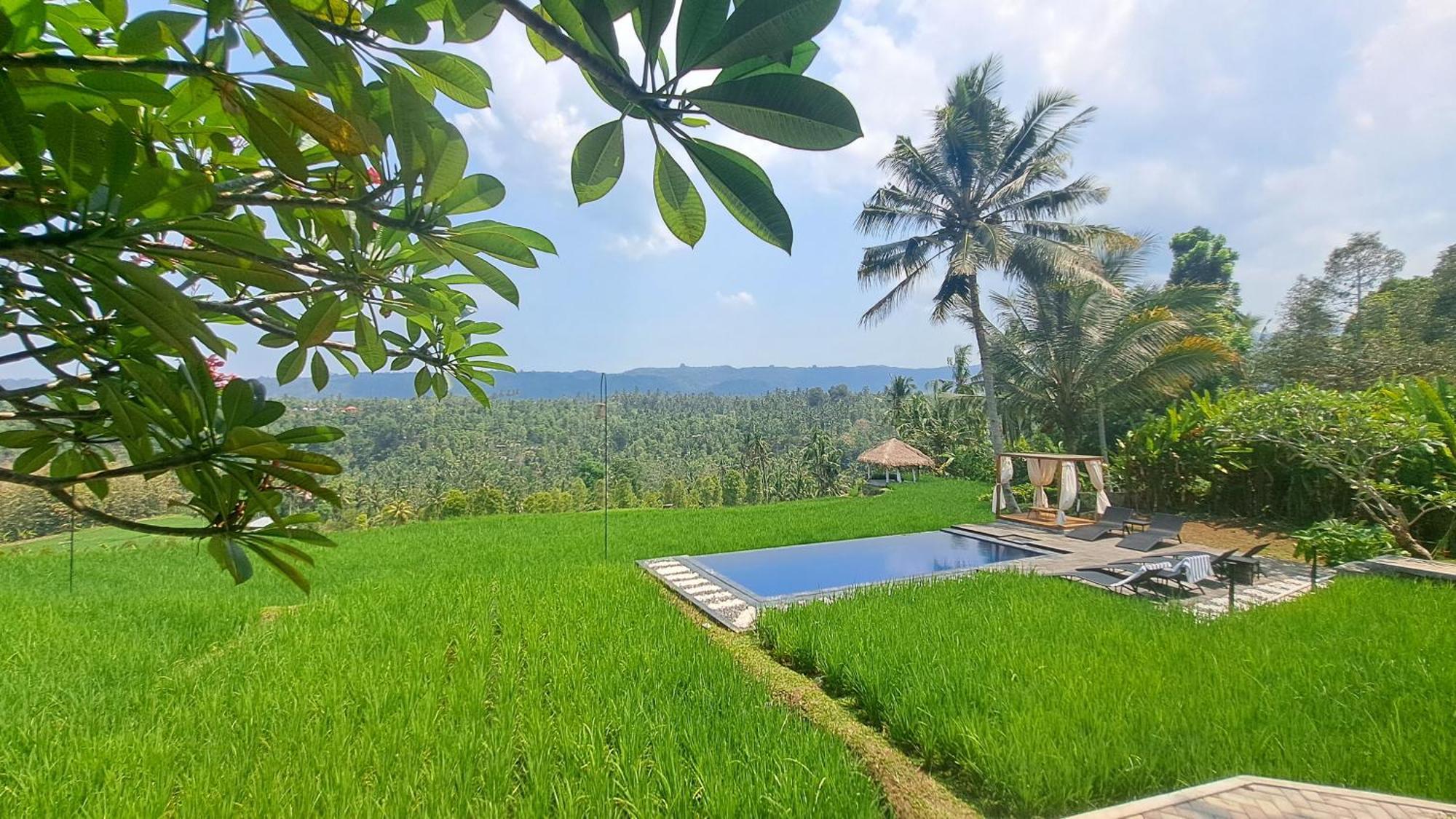 Bali De Pardis Cottage Munduk Exteriör bild