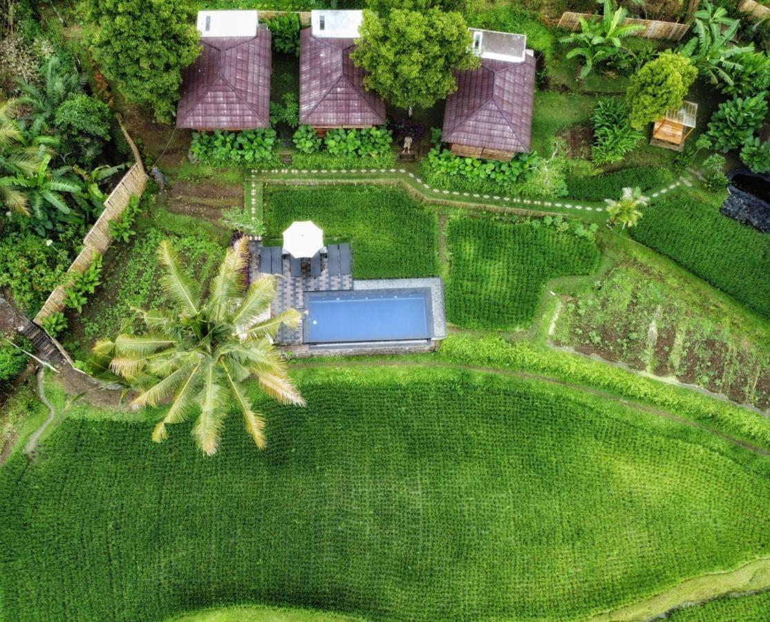 Bali De Pardis Cottage Munduk Exteriör bild