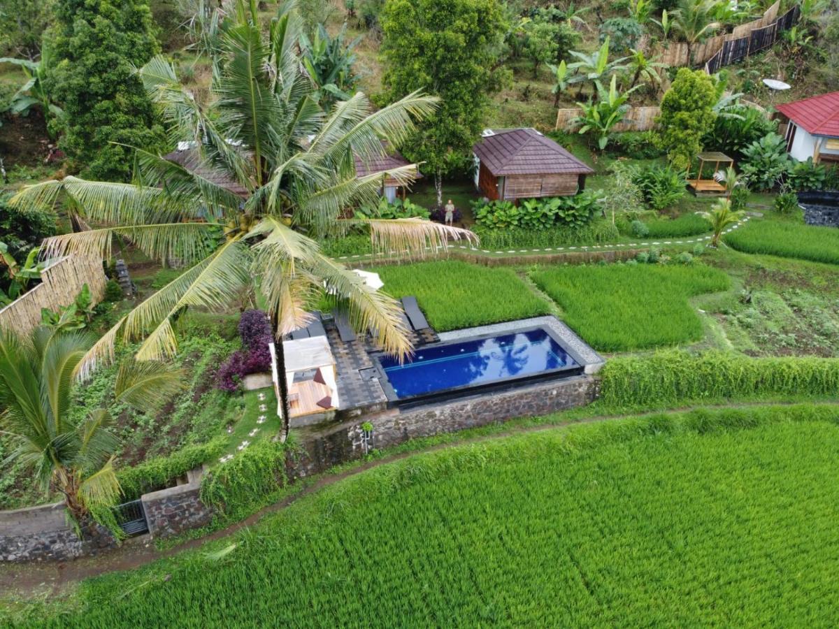 Bali De Pardis Cottage Munduk Exteriör bild